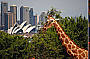 Blue Mountains Late Departure Tour