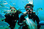 Great Barrier Reef Adventures