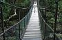 Swing bridge at Mossman Gorge Walk