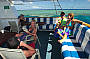 7 Day Cod Hole, Ribbon Reefs & Coral Sea - Double/ Twin ( Thursday Departure )