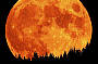 Dont forget to check out our monthly FULL MOON Parties!
