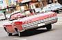 CITY CENTRAL BAY AND SURROUNDS ($260 PRICE PER CAR )