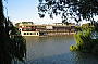 Murrey River