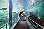 Melbourne Aquarium