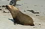 2 DAY KANGAROO ISLAND