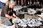 Traditional Kup Murri feast