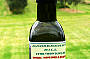 Olive Grove