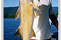 Fishing the Tropics : River Fishing - Full Day