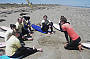 Surf Lessons