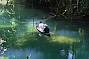 Canoe a freshwater stream.