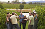 Tasting the Yarra Valley Wines