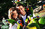 Feed the wild lorikeets