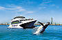 Luxury Catamaran