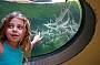 Darwin Crocodiles, Reptiles & Sights Tour - DDTS