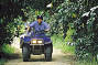 Full Day including Kuranda: Horse Riding/ATV Tour combination OR Horse Riding fullday OR ATV tour fullday