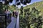 View from the Skywalk