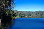 Swim in Lake Eacham, a beautiful volcanic crater lake
