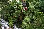 Upsidedown Jungle Surfing!