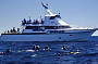 Snorkel and Cruise activites are conducted aboard our wonderful vessel Moonraker