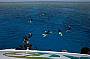 Tusa Dive - Great Barrier Reef Experience