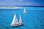 Ocean Spirit Cruises