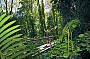 Darwin Crocodiles, Reptiles & Sights Tour - DDTS