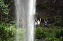 Surfers Paradise & Springbrook Rainforest Tour