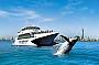 Whale Watching (half day) - 1 June - 30 Oct 2011