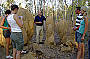 Termite Mounds