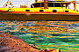 Rottnest Twilight Cruise