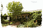 Peter Lehman vineyard