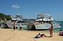Dolphin Wild Island Cruises