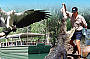 The Great Australian Wildlife Experience