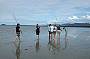 Queensland Experiences