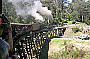 Ride on Puffing Billy Train