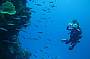 SPECIAL 2 Day 1 Night Certified 4 Dive Package - Shared Cabin