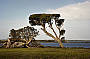 Hindmarsh Island