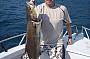 Mikhails Cobia