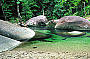 Cape Tribulation & Daintree Deluxe Day Tour