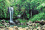 1 Day Mt Tamborine Rainforest / Australiana / Winery Tour 