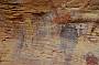 Wildlife - Split Rock Art Gallery