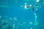 1 Day Moreton Island Extreme Day Tour Ex Brisbane