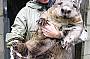 Megs is Australian Day Tours/JPT Tours' sponsored wombat