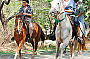 Balloon 30min & Half Day Horse Riding