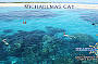 Standard Cruise incl. 2 Certified Dives Guided