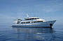 7 Day Cod Hole, Ribbon Reefs & Coral Sea - Ocean View Standard ( Thursday Departure )