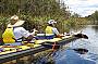 Cruising along in the Noosa Everglades