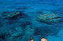 Ningaloo Reef