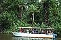 Daintree River Cruise