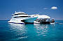 Great Barrier Reef Adventures